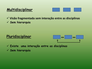 Multidisciplinar Visão fragmentada sem interação entre as disciplinas