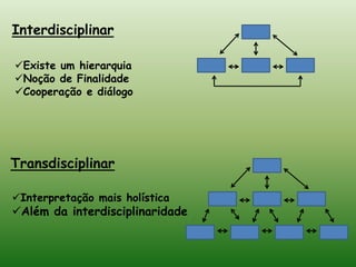  Sem hierarquiaPluridisciplinar Existe  uma interação entre as disciplinas