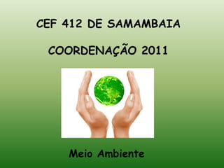 CEF 412 DE SAMAMBAIA COORDENAÇÃO 2011 Meio Ambiente 