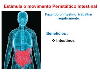 Estimula o movimento Peristáltico Intestinal
Fazendo o intestino trabalhar
regularmente.
 Intestinos
Benefícios :
 