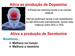 Ativa as produção de Dopamina
A Perda de memória tende a se manter
estável.
Mal de parkinson tende a ser estabilizado
ou até diminuído parcialmente, sendo esta
melhora entre 30% e 70%.
Benefícios :
 Melhora no humor
 Melhora a memória
Ativa a produção de Serotonina
 