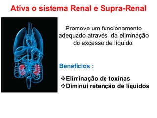 Ativa o sistema Renal e Supra-Renal
Promove um funcionamento
adequado através da eliminação
do excesso de líquido.
Benefícios :
Eliminação de toxinas
Diminui retenção de líquidos
 