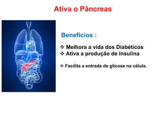 Ativa o Pâncreas
Benefícios :
 Melhora a vida dos Diabéticos
 Ativa a produção de Insulina
 Facilita a entrada de glicose na célula.
 