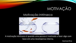 MOTIVAÇÃO
Motivação Intrínseca
A motivação intrínseca é quando uma pessoa é motivada a fazer algo com
base em uma recompensa interna.
Samantha
 