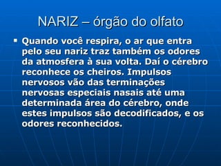 NARIZ – órgão do olfato Quando você respira, o ar que entra pelo seu nariz traz também os odores da atmosfera à sua volta. Daí o cérebro reconhece os cheiros. Impulsos nervosos vão das terminações nervosas especiais nasais até uma determinada área do cérebro, onde estes impulsos são decodificados, e os odores reconhecidos.   