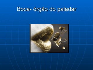 Boca- órgão do paladar 