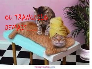 OU TRANQUILO
DEMAIS.....

 