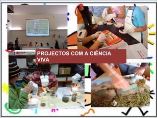 11-11-11 PROJECTOS COM A CIÊNCIA VIVA 