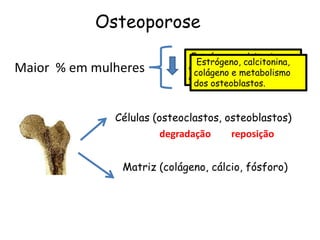 Osteoporose
                             Estrógeno, calcitonina,
                              Estrógeno, calcitonina,
Maior % em mulheres         colágeno e metabolismo
                             colágeno e metabolismo
                            dos osteoblastos.
                             dos osteoblastos.


              Células (osteoclastos, osteoblastos)
                        degradação    reposição


               Matriz (colágeno, cálcio, fósforo)
 