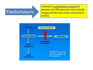 A doença é autossômica recessiva.As
                 pessoas com PKU possuem uma mutação
Fenilcetonuria   no gene da PAH que muda a estrutura da
                 enzima.
 
