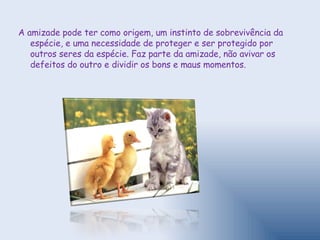 A amizade pode ter como origem, um instinto de sobrevivência da espécie, e uma necessidade de proteger e ser protegido por outros seres da espécie. Faz parte da amizade, não avivar os defeitos do outro e dividir os bons e maus momentos. 