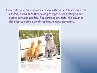 A amizade pode ter como origem, um instinto de sobrevivência da espécie, e uma necessidade de proteger e ser protegido por outros seres da espécie. Faz parte da amizade, não avivar os defeitos do outro e dividir os bons e maus momentos. 