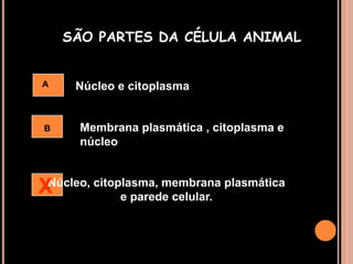 SÃO PARTES DA CÉLULA ANIMALANúcleo e citoplasmaMembrana plasmática , citoplasma e núcleoBXNúcleo, citoplasma, membrana plasmática e parede celular.C