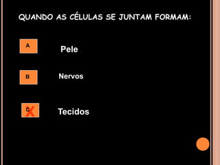 QUANDO AS CÉLULAS SE JUNTAM FORMAM:APeleNervosBXTecidosC