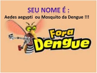 Aedes aegypti ou Mosquito da Dengue !!!
 