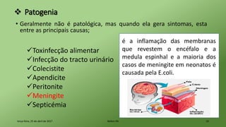  Patogenia
• Geralmente não é patológica, mas quando ela gera sintomas, esta
entre as principais causas;
terça-feira, 25 de abril de 2017 Belém-PA 10
Toxinfecção alimentar
Infecção do tracto urinário
Colecistite
Apendicite
Peritonite
Meningite
Septicémia
é a inflamação das membranas
que revestem o encéfalo e a
medula espinhal e a maioria dos
casos de meningite em neonatos é
causada pela E.coli.
 