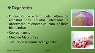 Diagnóstico
• O diagnóstico é feito pela cultura de
amostras dos líquidos infectados e
observação microscópica com análises
bioquímicas.
• Coproantigeno
• Meio de Macconkey
• Tecnica de recombinaçãp genetica
terça-feira, 25 de abril de 2017 Belém-PA 12
 