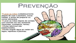 terça-feira, 25 de abril de 2017 Belém-PA 14
 