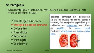  Patogenia
• Geralmente não é patológica, mas quando ela gera sintomas, esta
entre as principais causas;
terça-feira, 25 de abril de 2017 Belém-PA 6
Toxinfecção alimentar
Infecção do tracto urinário
Colecistite
Apendicite
Peritonite
Meningite
Septicémia
podendo complicar em pielonefrite.
Resulta na invasão da uretra, bexiga e
ureteres, Têm receptores específicos para
moléculas da membrana de células
do epitélio da pelve renal.
Produzem hemolisinas que lisam os eritró
citos.
 