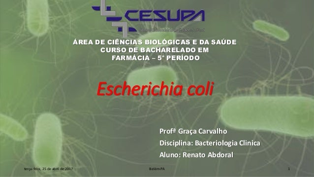 Estudo Da Bacteria Escherichia Coli