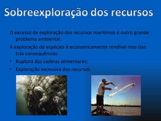 O excesso de exploração dos recursos marítimos é outro grande problema ambiental. A exploração de espécies é economicamente rendível mas isso trás consequências: Ruptura das cadeias alimentares; Exploração excessiva dos recursos.  
