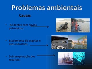 Causas   Acidentes com navios petroleiros; Escoamento de esgotos e lixos industrias; Sobreexploração dos recursos; 
