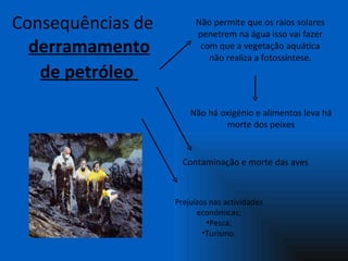 Consequências de  derramamento de petróleo   Não permite que os raios solares penetrem na água isso vai fazer com que a vegetação aquática não realiza a fotossíntese. Não há oxigénio e alimentos leva há morte dos peixes Contaminação e morte das aves  Prejuízos nas actividades económicas; Pesca; Turismo. 