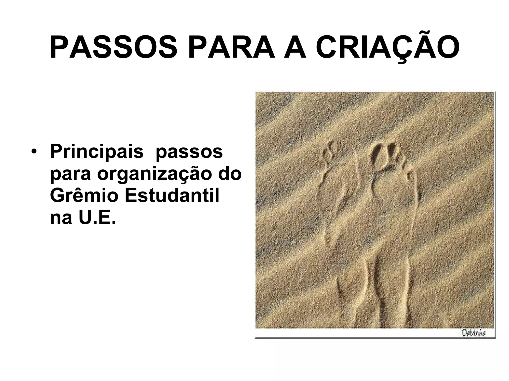 PASSOS PARA A CRIAÇÃO Principais  passos para organização do Grêmio Estudantil na U.E. 