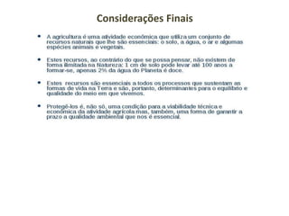 Considerações Finais
 