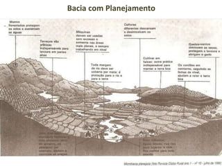 Bacia com Planejamento
 