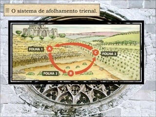 7 
 O sistema de afolhamento trienal. 
 