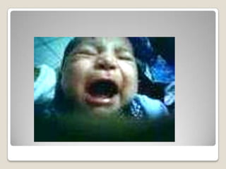 ApresentaçãO1meu Bebe Lindo Da Tia Isaque