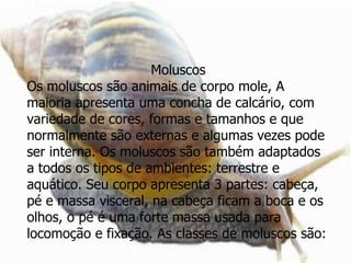 Moluscos Os moluscos são animais de corpo mole, A maioria apresenta uma concha de calcário, com variedade de cores, formas e tamanhos e que normalmente são externas e algumas vezes pode ser interna. Os moluscos são também adaptados a todos os tipos de ambientes: terrestre e aquático. Seu corpo apresenta 3 partes: cabeça, pé e massa visceral, na cabeça ficam a boca e os olhos, o pé é uma forte massa usada para locomoção e fixação. As classes de moluscos são: 