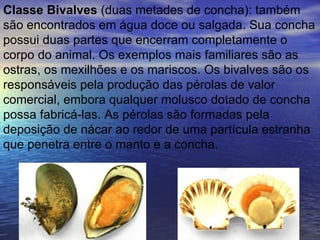 Classe Bivalves  (duas metades de concha): também   são encontrados em água doce ou salgada. Sua concha possui duas partes que encerram completamente o corpo do animal. Os exemplos mais familiares são as ostras, os mexilhões e os mariscos. Os bivalves são os responsáveis pela produção das pérolas de valor comercial, embora qualquer molusco dotado de concha possa fabricá-las. As pérolas são formadas pela deposição de nácar ao redor de uma partícula estranha que penetra entre o manto e a concha. 
