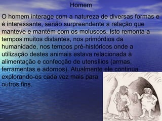Homem O homem interage com a natureza de diversas formas e é interessante, senão surpreendente a relação que manteve e mantém com os moluscos. Isto remonta a tempos muitos distantes, nos primórdios da humanidade, nos tempos pré-históricos onde a utilização destes animais estava relacionada à alimentação e confecção de utensílios (armas, ferramentas e adornos). Atualmente ele continua  explorando-os cada vez mais para  outros fins. 