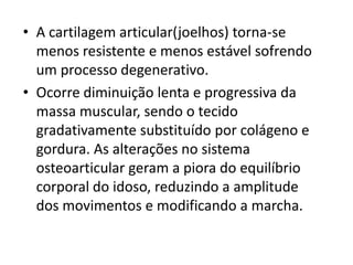 • A cartilagem articular(joelhos) torna-se
menos resistente e menos estável sofrendo
um processo degenerativo.
• Ocorre diminuição lenta e progressiva da
massa muscular, sendo o tecido
gradativamente substituído por colágeno e
gordura. As alterações no sistema
osteoarticular geram a piora do equilíbrio
corporal do idoso, reduzindo a amplitude
dos movimentos e modificando a marcha.

 