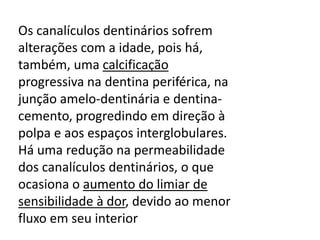 Os canalículos dentinários sofrem
alterações com a idade, pois há,
também, uma calcificação
progressiva na dentina periférica, na
junção amelo-dentinária e dentinacemento, progredindo em direção à
polpa e aos espaços interglobulares.
Há uma redução na permeabilidade
dos canalículos dentinários, o que
ocasiona o aumento do limiar de
sensibilidade à dor, devido ao menor
fluxo em seu interior

 