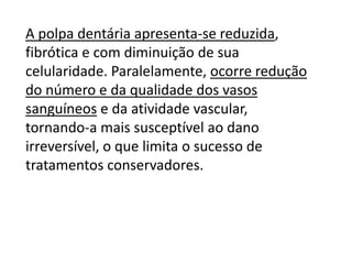 A polpa dentária apresenta-se reduzida,
fibrótica e com diminuição de sua
celularidade. Paralelamente, ocorre redução
do número e da qualidade dos vasos
sanguíneos e da atividade vascular,
tornando-a mais susceptível ao dano
irreversível, o que limita o sucesso de
tratamentos conservadores.

 