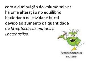 com a diminuição do volume salivar
há uma alteração no equilíbrio
bacteriano da cavidade bucal
devido ao aumento da quantidade
de Streptococcus mutans e
Lactobacilos.

 