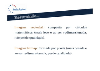 Imagem     vectorial:   composta   por     cálculos
matemáticos (mais leve e ao ser redimensionada,
não perde qualidade).


Imagem bitmap: formada por pixéis (mais pesada e
ao ser redimensionada, perde qualidade).
 