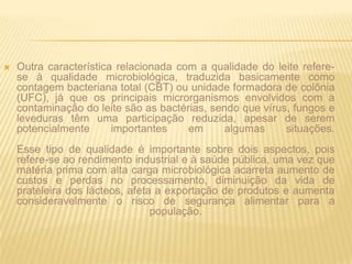 Outra característica relacionada com a qualidade do leite refere-se à qualidade microbiológica, traduzida basicamente como contagem bacteriana total (CBT) ou unidade formadora de colônia (UFC), já que os principais microrganismos envolvidos com a contaminação do leite são as bactérias, sendo que vírus, fungos e leveduras têm uma participação reduzida, apesar de serem potencialmente importantes em algumas situações.Esse tipo de qualidade é importante sobre dois aspectos, pois refere-se ao rendimento industrial e à saúde pública, uma vez que matéria prima com alta carga microbiológica acarreta aumento de custos e perdas no processamento, diminuição da vida de prateleira dos lácteos, afeta a exportação de produtos e aumenta consideravelmente o risco de segurança alimentar para a população.