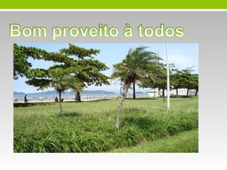 Apresentação 1º sem 2014