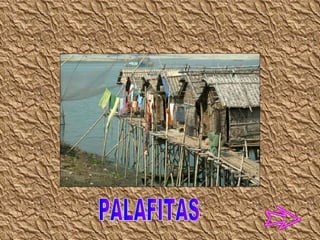 PALAFITAS 