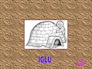 IGLU 
