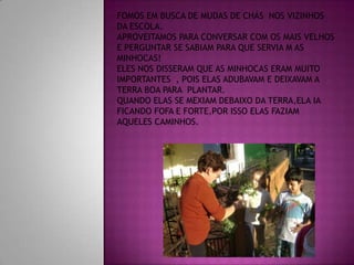 ApresentaçãO1 Simone Raquel