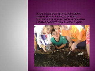 ApresentaçãO1 Simone Raquel