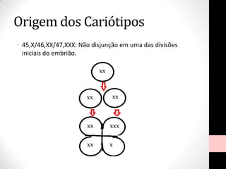 Origem dos Cariótipos
• 45,X/46,XX/47,XXX: Não disjunção em uma das divisões
iniciais do embrião.
 