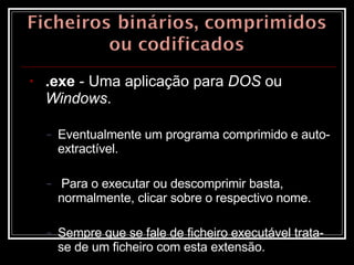 .exe  - Uma aplicação para  DOS  ou  Windows . Eventualmente um programa comprimido e auto-extractível. Para o executar ou descomprimir basta, normalmente, clicar sobre o respectivo nome.  Sempre que se fale de ficheiro executável trata-se de um ficheiro com esta extensão.  