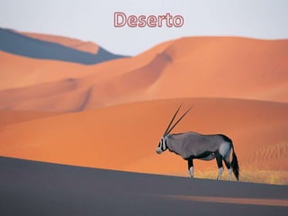 Deserto 