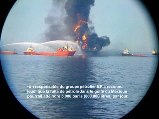 Un responsable du groupe pétrolier BP a reconnu jeudi que la fuite de pétrole dans le golfe du Mexique pourrait atteindre 5.000 barils (800.000 litres) par jour, 